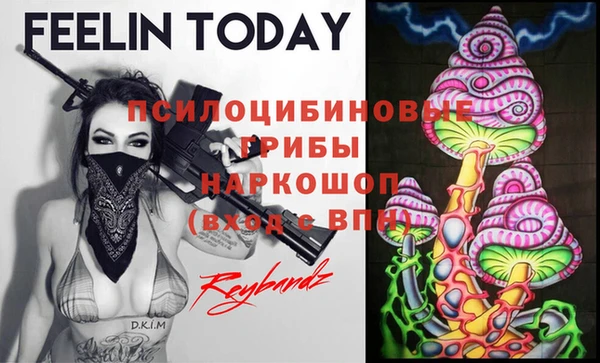 трава Абаза