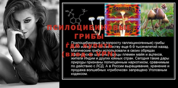 спиды Алзамай